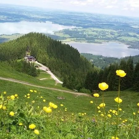 Ferienhaus Ferienwohnung Alpenblick Hornle - #117112 *